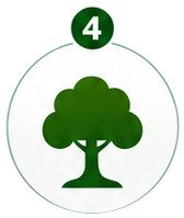 Step 4: Create Legacy